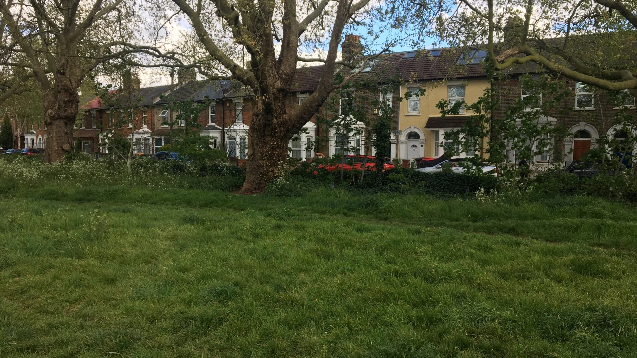 Forest View Road